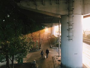 iPhoneographerの肖像 - 「iPhoneで撮った写真は、写真という枠を飛び出たものだと感じることがあります」今泉純さん