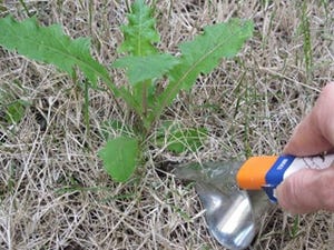 庭の草むしりをラクにするグッズ - 草刈り・草取り・雑草抜きを便利に