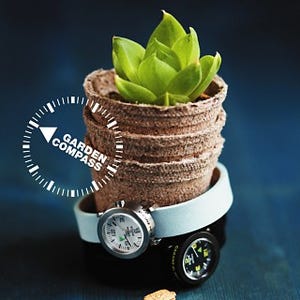 セイコーネクステージ、小野塚秋良氏による「CABANE de ZUCCa WATCH」新作