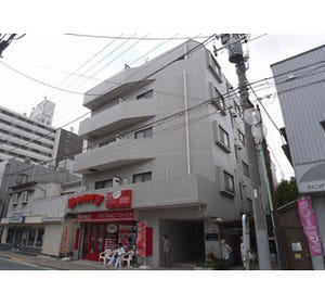 東京都・田園調布に猫付きマンション登場