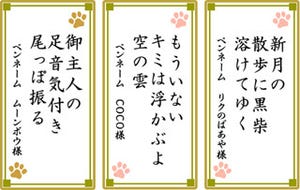 「ちんまりと ただ居るだけで 大絶賛」 - どうぶつ川柳公開