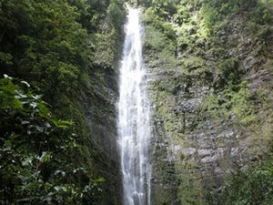 心身のバランスを整える - ハワイのパワースポット "オヘオ渓谷"