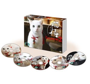 未公開カット集も見られる! 猫侍DVD-BOX発売