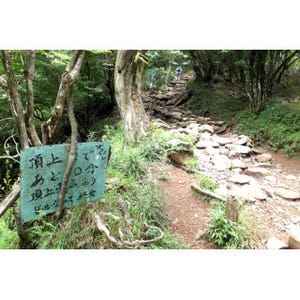 高尾山のみならず! 神奈川県・大山への日帰り登山は色んな意味でちょうどいい