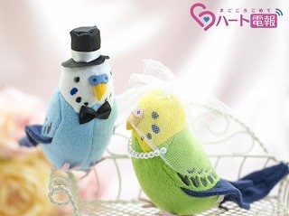 セキセイインコがウエディング姿に! 結婚式向けの電報が登場