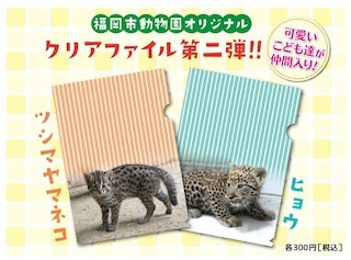 「ヒョウ」と「ヤマネコ」のクリアファイルが発売