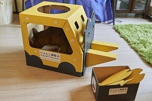 猫専用のフォークリフトに実際に乗ってみた