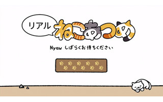 「リアルねこあつめ」の動画が公開! - 約11時間猫眺め放題!