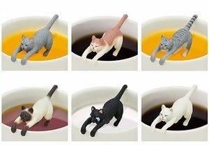 猫がドリンクを飲むのを邪魔する「お前には飲ませニャー!」が発売