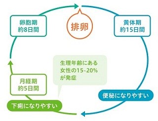 生理中の下痢がひどい……原因と簡単対策法を解説