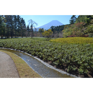 富士山＋忍野八海＋"忍者"な旅も! 新設「しのびの里」で広がる富士観光の形