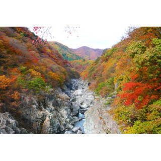 日光の紅葉を見るならこの日! 鬼怒川・東照宮などエリア別ピーク情報