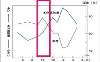 秋は「夏バテ肌」に要注意! 肌の水分蒸散量も増加し、一気にかさつき肌へ