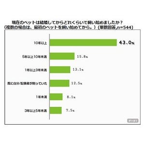 夫婦の会話、「●●のおかげで増えた」は71.1% – けんかの仲裁も