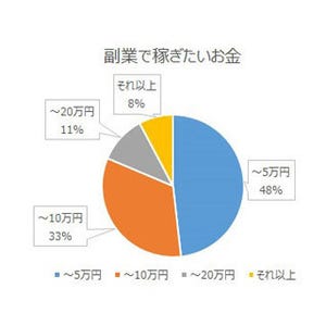 副業、"毎日コツコツ型"が多数--稼ぎたい金額、月「5万円程度」が48%で最多