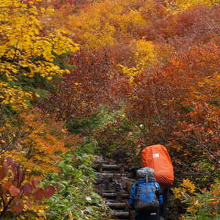 山ガールはどこに消えた? 高齢登山者の遭難増加! 1000万人が楽しむ登山の姿