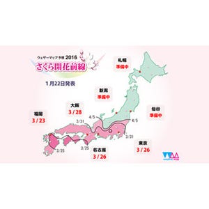 東京都は平年並みの可能性も? 九州～関東の桜開花予想