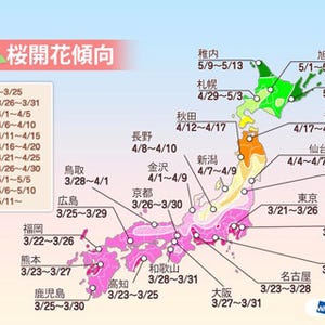 東京都が全国で最初に開花!? 桜の開花傾向発表