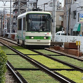 東京都交通局、都電荒川線の荒川車庫前停留場付近で軌道敷きの緑化検証実験