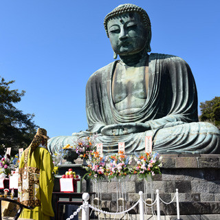 半世紀ぶりの"健康診断"を終えた鎌倉大仏に会いに、長谷の街をぶらり散歩