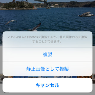 「Live Photos」が動かなくなりました!? - いまさら聞けないiPhoneのなぜ