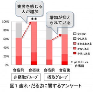 発酵乳から見つかったペプチドが、強度の運動の疲労感を軽減することが判明