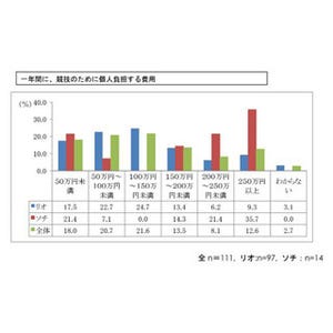 パラリンピック、選手に重い負担 - 平均自己負担額は年間147万円