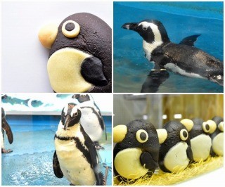 ペンギンパン、ペンギンバーなど……ペンギン尽くしの日を過ごしてみた