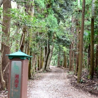 大磯は夏だけじゃない! 東海道の宿場情緒を感じるハイキングは絶景と共に