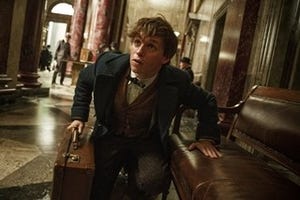 『ファンタビ』5日で動員100万人突破! 本年度の洋画実写映画最速