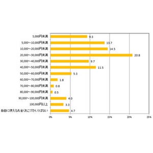 シニア世代のおこづかい、一カ月いくら?