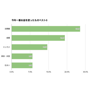 2016年に家計で一番お金を使った項目は?