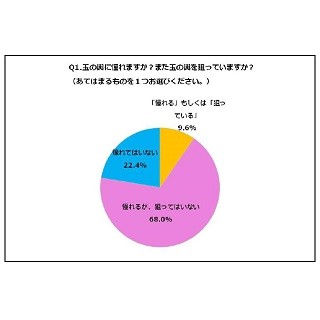 「玉の輿」と聞いてイメージする相手の年収は?