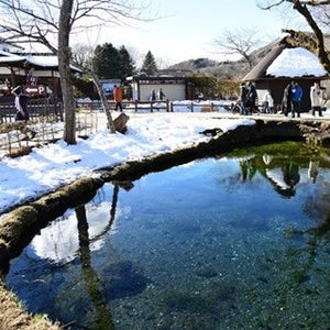 ミシュランで世界を魅了した絶景と忍野八海は冬も良し! ほうとうに体も喜ぶ