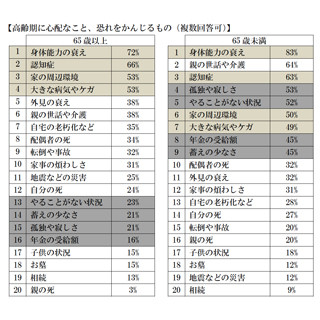 「老後に必要な資金が十分」と回答した高齢者の割合は?