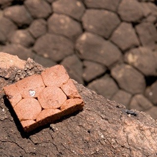 きっと誰もが二度見する! 「ジオ菓子」の衝撃の見た目と旨さで自然愛が萌芽