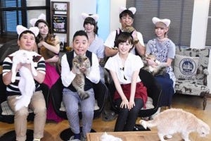 ダレノガレ明美、失恋を猫に癒やされる「結婚しなくてもこの子がいる…」