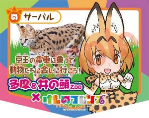 京王電鉄『けものフレンズ』コラボでスタンプラリー - ヘッドマーク掲出も