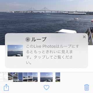 Live Photosを眺めていたら、なにやらお勧めされました!? - いまさら聞けないiPhoneのなぜ