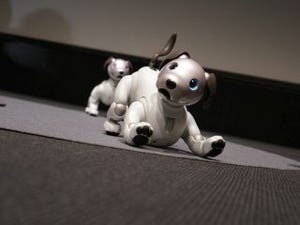 開発メンバーは若手主体、イチから生まれ変わったソニー「aibo」の可能性