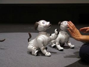 まるで違う「AIBO」と「aibo」 - ソニーの変化を表す「クラウド」