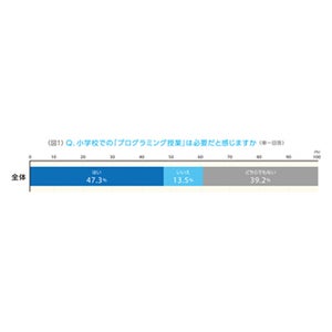 小学校での「プログラミング授業」は必要? 