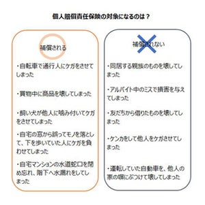 個人賠償責任保険、どこまでカバーできる? - 補償されないケースとは