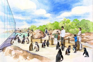 新・上越市立水族博物館「うみがたり」、2018年6月にグランドオープン決定