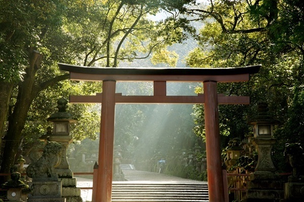 知らないと初詣で恥をかく!? 神社参拝で気をつけたい10のこと