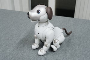 「aibo」の魅力は? 実際にふれあってきました