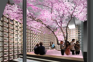 表参道でお花見!? 花びら120万枚の桜プールと佐賀の酒を楽しむバー登場