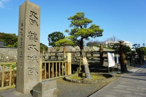 大河ドラマ『西郷どん』を追って鹿児島旅--穏やかな霧島通いから西南戦争へ