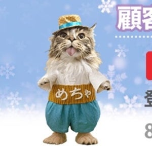 あの「めちゃ犬」が「めちゃ猫」に! 「猫の日」限定でサイトを席巻