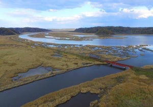 JR北海道、花咲線で「普通列車を観光列車にする取り組み」開始へ